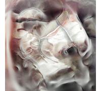 Adult Jazz - Earrings Off [Import]