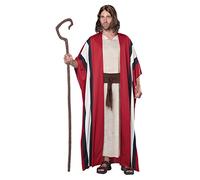 Adult Moses Fancy dress costume Small/Medium