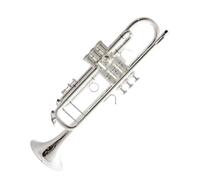 Adult Trumpet Trompette en Sib pour débutants | Durable avec une prise en main confortable.
