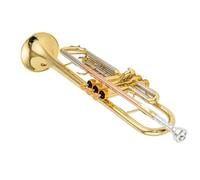 Adult Trumpet Trompette professionnelle en si bémol | Son riche et plein avec une excellente résonance.
