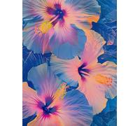 Adulte 5D Diamond Painting Kit Complet, Belles Fleurs D'Hibiscus Diamant carré DIY Gem Arts Mosaïque Noël Artisanat，Débutant enfants home furnishings Murale Décoration 20x40cm LZ557E