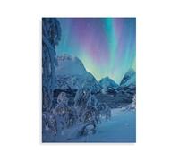 Adultes en Papier Puzzle 1000 Pieces，Quand Les aurores boréales Dansent，Enfants Puzzle Classique Jeu Jouet Puzzles（50x70cm）-AN12