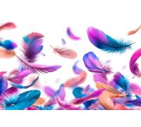 Adultes et débutants Diamond Painting Complète Foret DIY 5D Kit Des Plumes Colorées Qui Volent Diamant Peinture Motif Broderie Diamant Art Kits Idéal Pour Décoration Murale Foret Rond 70x105cm C0976