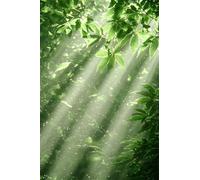 Adultes et débutants Diamond Painting Complète Foret DIY 5D Kit Lumière Du Soleil De La Forêt Naturelle Diamant Peinture Motif Diamant Art Kits Idéal Pour Décoration Diamant Carré 60x90cm C1255