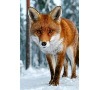 Adultes et débutants Diamond Painting Complète Foret DIY 5D Kit Renard Roux Des Neiges Diamant Peinture Motif Broderie Diamant Art Kits Idéal Pour Décoration Murale Diamant Carré 100x150cm B1942