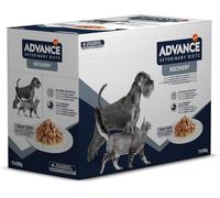 ADVANCE Aliment pour chiens et chats en convalescence, riche en protéines, haute teneur en nutriments, facile à digérer, 11 sachets x 100 g