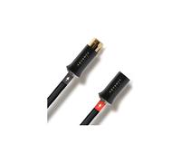 Advance Paris Link XLR (2 x 0,5 m) - Câble XLR