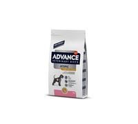 Solis World Croquettes pour chiens Advance Veterinary Diets Atopic Medium & Maxi – Truite – 12 kg