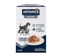 Advance Veterinary Diets Recovery Nourriture Humide pour Chats et Chiens: Multipack 11 sachets 100g