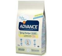 Advance - young sterilized - 1,5 kg G