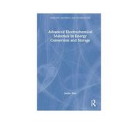 Advanced Electrochemical Materials In Energy Conversion And Storage