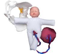 Advanced Midwifery Training Model Childbirth Education Teaching Tools w/Pelvic Model and Infant Model Suitable for Child Birth Education
