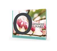 Advanced Oil Magic Series 4 Book