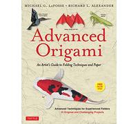 Advanced Origami: An Artist's Guide to Folding Techniques and Paper