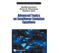 Advanced Topics On Semilinear Evolution Equations