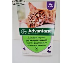 ADVANTAGE¹ 40-80 chat lapin furet 1-8 kg flea protection cat puce bte 6 spot on