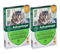 Advantage 40 pour chat et lapin Pipette(S) Unidose(S) 2x4x0,4 ml
