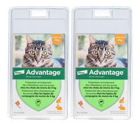 Advantage 40 pour chat et lapin Pipette(S) Unidose(S) 2x6 pc(s)