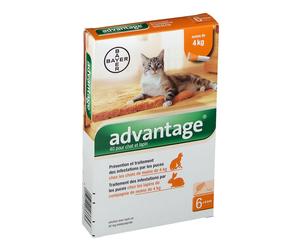 Advantage 40 pour chat et lapin Pipette(S) Unidose(S) 6 pc(s)
