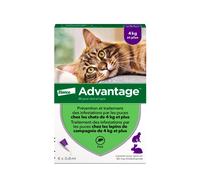 ADVANTAGE 80 chat 6 pipettes