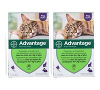 Advantage 80 pour chat et lapin Pipette(S) Unidose(S) 2x4 pc(s)