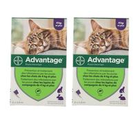 Advantage 80 pour chat et lapin Pipette(S) Unidose(S) 2x6x0,8 ml