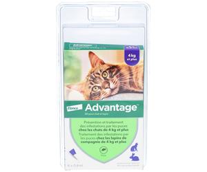 Advantage 80 pour chat et lapin Pipette(S) Unidose(S) 6x0,8 ml