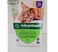 ADVANTAGE¹ Chat 40/ 80 anti puce flea treatment 1 a 8 kg EXCLUSIF 6 SPOT ON