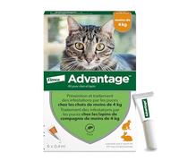 Advantage Solution Antipuce Chat Lapin 1 à 4kg 6 pipettes