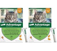 Advantage Chat & Lapin de Moins de 4 kg - Pipettes Anti puces Chat pour prévention des infestations - Traitement Anti puces Lapin pour Une Protection en continu Pendant 3 à 4 semaines - 6 x 0,4 ML