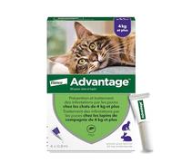 Advantage Chat & Lapin de plus de 4 kg - Pipettes anti puces chat pour prévention des infestations - Traitement anti puces avec protection de 3 à 4 semaines - 4 x 0,8 ml