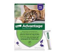 Advantage 80 pour chat et lapin pipette(s) unidose(s) 6x0,8 ml