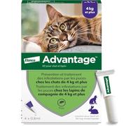 Advantage Solution Antipuce Chat Lapin +4kg 4 pipettes