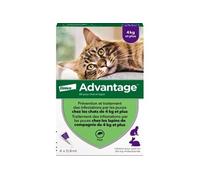 ADVANTAGE Solution Antipuce Chat Lapin 4kg 4 pipettes