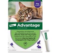 Advantage 80 pour chat et lapin pipette(s) unidose(s) 6x0,8 ml