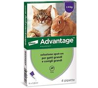 Advantage Spot-on Solution Anti-puces pour Chats et Lapins, 4 pipettes de 0,8 ML