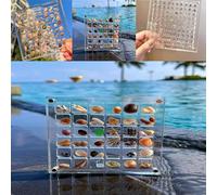 Advantageouse Boîte de présentation magnétique en acrylique pour coquillages, 36/64/100 compartiments, transparent, empilable, pour coquillages, manucure, bijoux