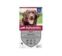 Advanti Chien Solution Antiparasitaire Grande Race 25 a 40kg 4 pipettes
