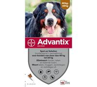 Advantix Très Grand Chien - 40 à 60 kg - 4 pipettes