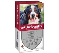 Advantix Très Grand Chien - 40 à 60 kg - 6 pipettes