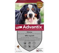 Advantix Très Grand Chien Anti-Puces Et Anti-Tiques 40-60kg 6 Pipettes
