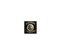 New Riders of the Purple Sage – The Adventure of Panama Red – CD