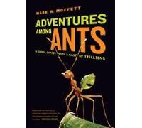 Adventures Among Ants