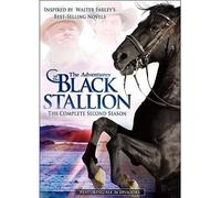 Adventures Of Black Stallion: Second Season [Dvd] [Import]