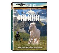 Adventures of Cloud