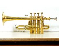 ADVIK Trompette Piccolo finition laiton BB/A avec étui rigide et embouchure