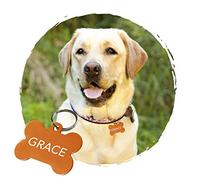 Adzif.biz Le sticker de decoration Medaille Chien Avec Gravure Personnalisé - Médaille Personnalisable OS En Aluminium 38 x 25 mm - Coloris Orange