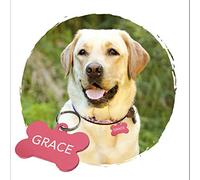 Adzif.biz Le sticker de decoration Medaille Chien Avec Gravure Personnalisé - Médaille Personnalisable OS En Aluminium 38 x 25 mm - Coloris Rose