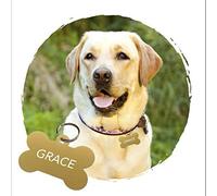 Adzif.biz Le sticker de decoration Medaille Chien Avec Gravure Personnalisé - Médaille Personnalisable OS En Aluminium 38 x 25 mm - Coloris Or