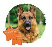Adzif.biz Le sticker de decoration - Plaque d'Identification Chien Avec Gravure Personnalisé - Plaque Personnalisable ETOILE En Aluminium 37 x 37 mm - Coloris Orange